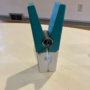 Teal and White Decorative Clothes Pin For Desk or Wall Display Actually Works